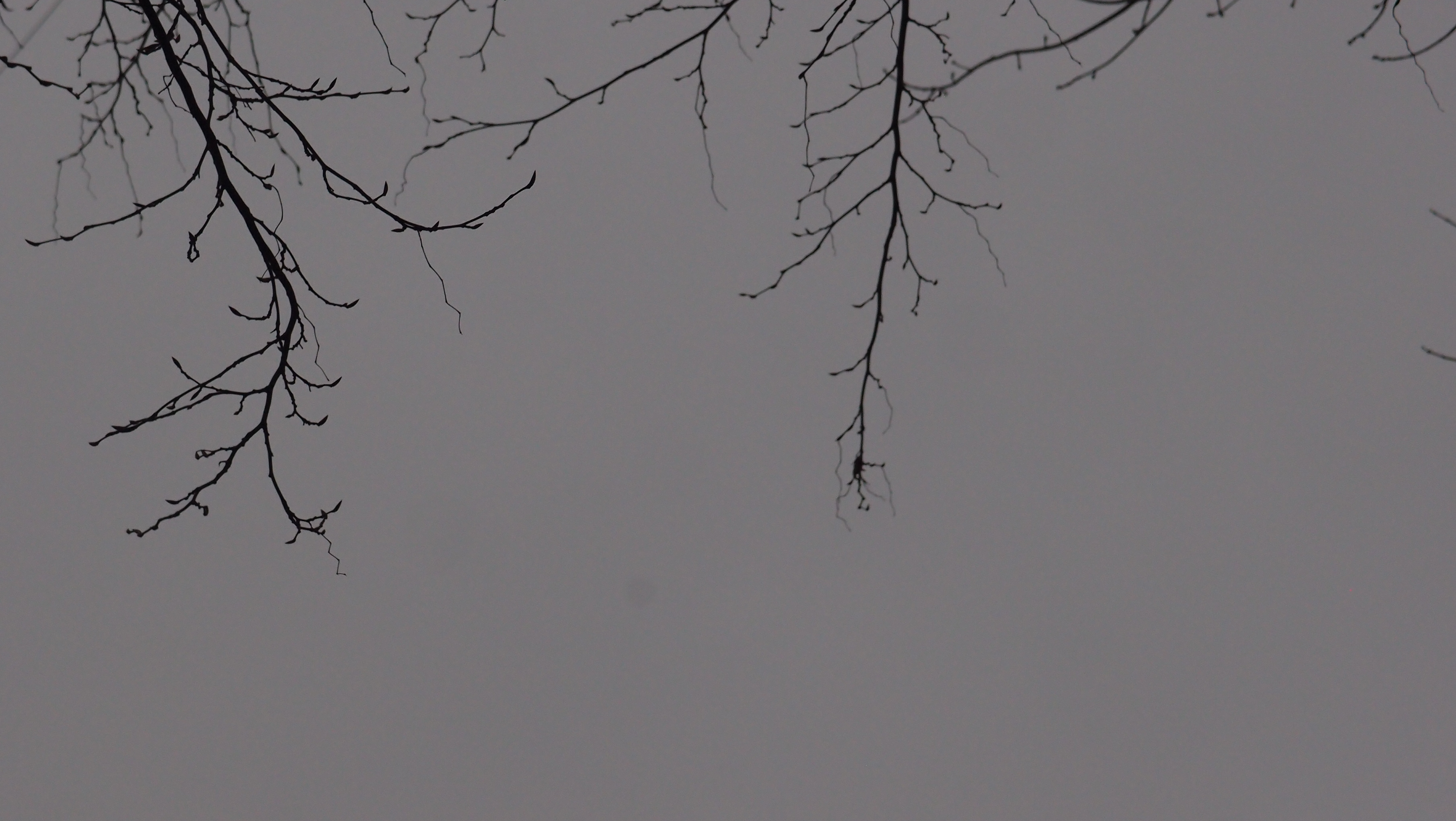 2021-01-06 - 08 Kühlgeträt (On/Off) (Remix John Cage - Empty Words IV)